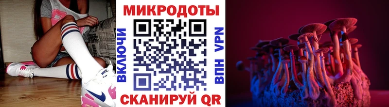 Галлюциногенные грибы прущие грибы  купить наркотики цена  Алупка 